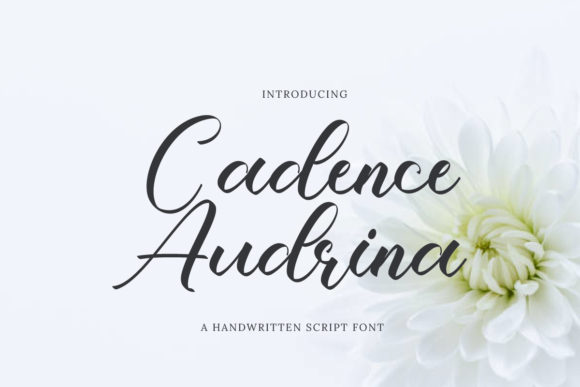 Cadence Audrina: A Graceful Script Font for Thoughtful Branding