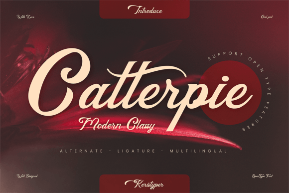 Catterpie: A Premium Script Font for Scroll-Stopping Campaigns