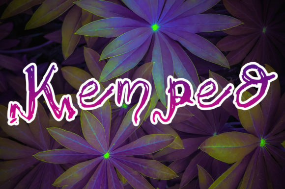 Kemped: A Handwritten Font That Adds Warmth to Digital Branding