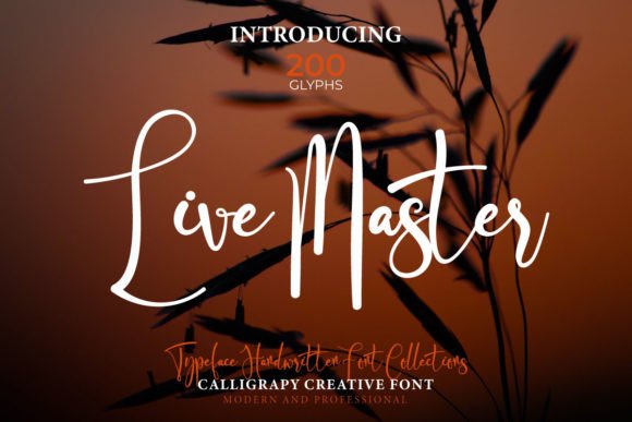 Live Master: A Font That Elevates Branding for Real Businesses